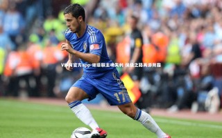 V体育官方app-谢菲联主场失利 保级之路再添阴霾